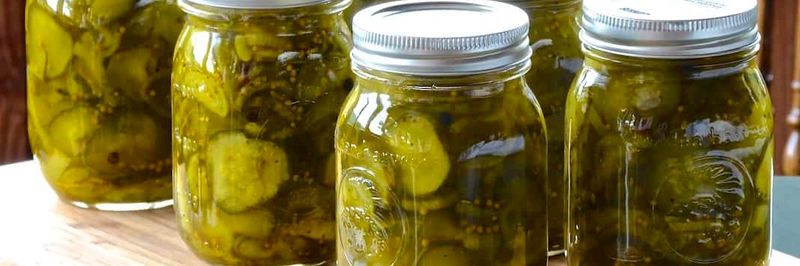 Bon's Bodacious Bread & Butter Pickles - supplier and manufacturer from 미국