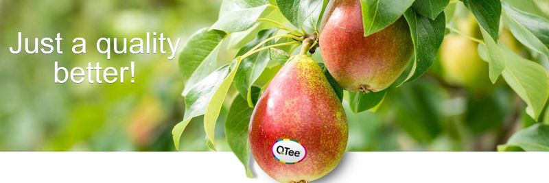 Fruithandel Wouters - supplier and manufacturer from Belgium