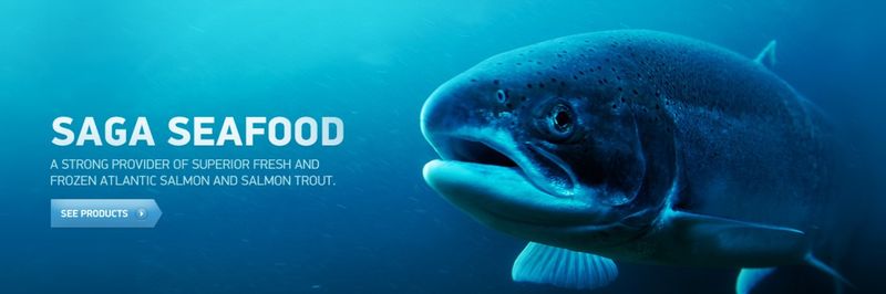 SAGA SEAFOOD AS - supplier and manufacturer from 노르웨이