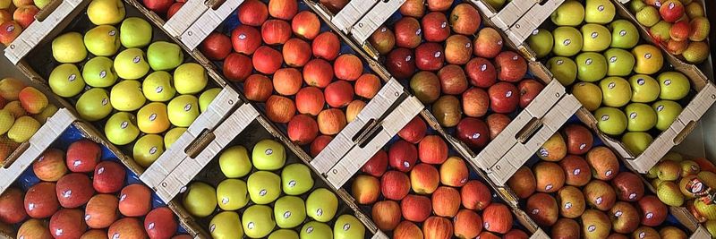 AGRICULTURAL COOP. OF ZAGORA PILION - supplier and manufacturer from 그리스