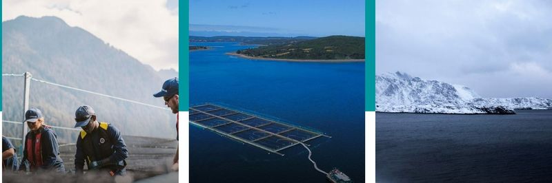 Cermaq Chile - supplier and manufacturer from Chile
