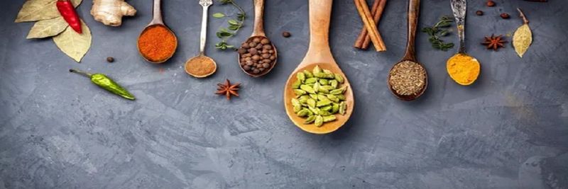 Palm Organic, LLC - supplier and manufacturer from 미국