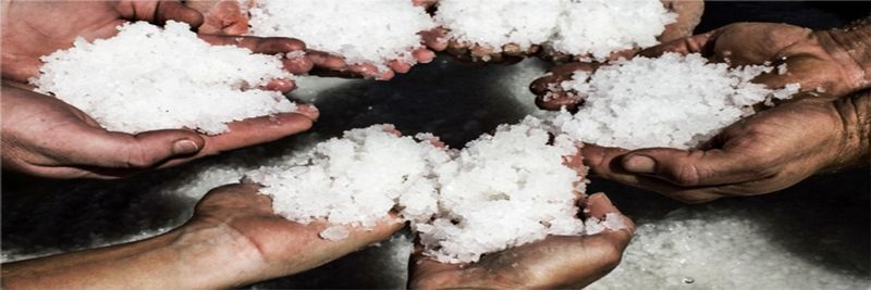Salinas Don Diego - supplier and manufacturer from Spain
