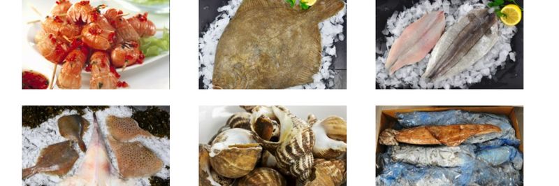 Rockabill Seafood Ltd - supplier and manufacturer from Ireland