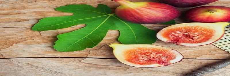 Campal Frutas - supplier and manufacturer from Brazil