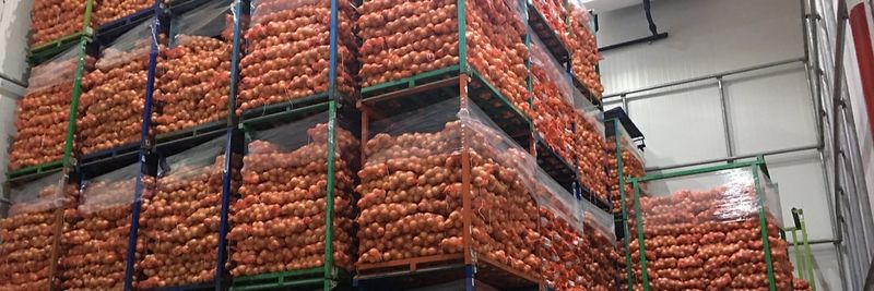 RUNGRUENG AGRI FOOD CO., LTD. - supplier and manufacturer from 태국