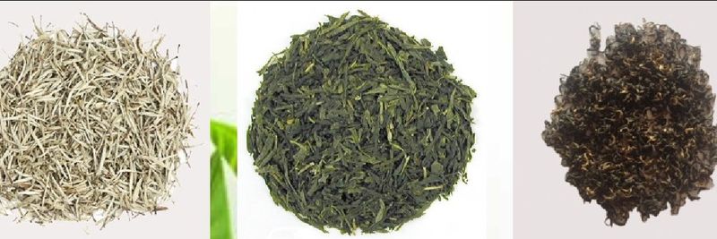 All Nepalese Tea & Coffee Center (ANTCC) Pvt. Ltd - supplier and manufacturer from Nepal