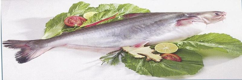 Ken Ken Food MFG PTE LTE - supplier and manufacturer from 싱가포르