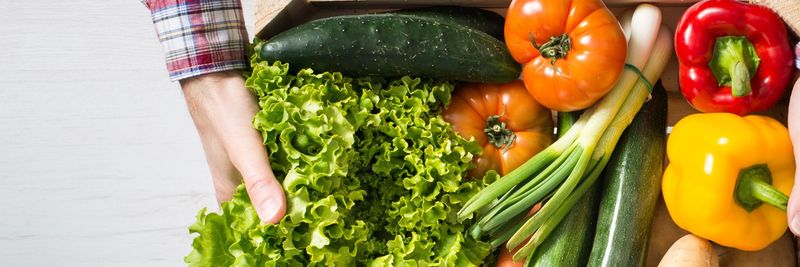 Shamir Salads - supplier and manufacturer from 이스라엘