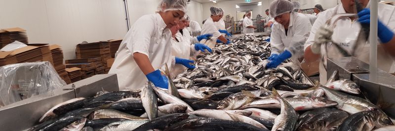 J.Marr (Seafoods) Ltd - supplier and manufacturer from United Kingdom
