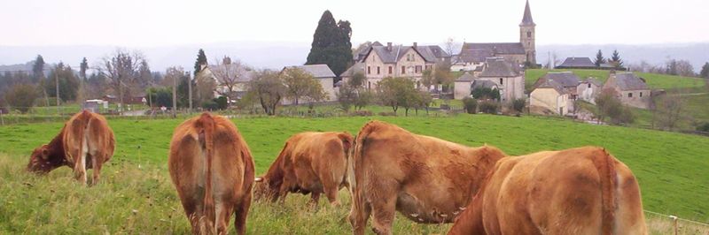 LA FERME DE BLANDINE - supplier and manufacturer from France