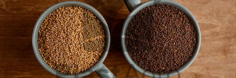 Piast Agro Sp. z o.o. - Verified supplier and manufacturer from Poland