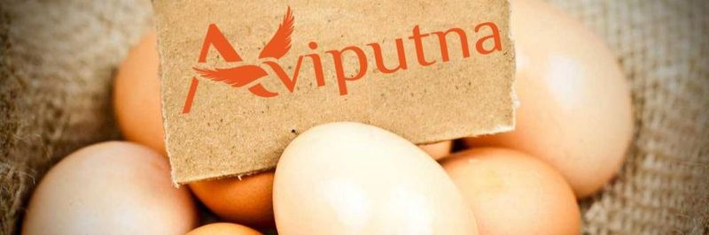 Aviputna - supplier and manufacturer from 루마니아