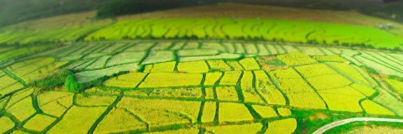 Hakh Group - supplier and manufacturer from Guyana