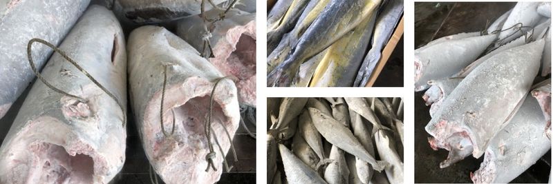 OCEAN TREASURE CO., LTD. - supplier and manufacturer from 대만
