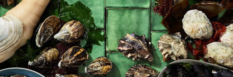 TAYLOR SHELLFISH - supplier and manufacturer from 미국