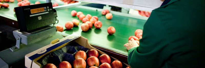 Obst Goessl Obstgrosshandel - supplier and manufacturer from 오스트리아