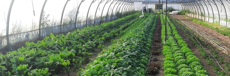 L'ENCLOS PILLOT - supplier and manufacturer from 프랑스