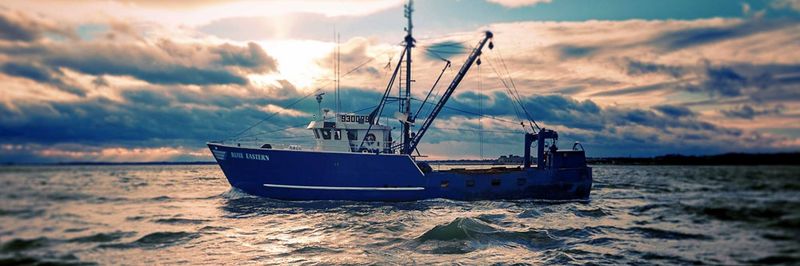 Blue Harvest Fisheries - supplier and manufacturer from 미국