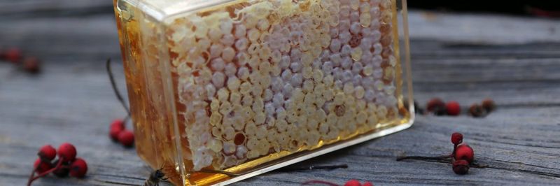 Elevated Honey Co. - supplier and manufacturer from 중국
