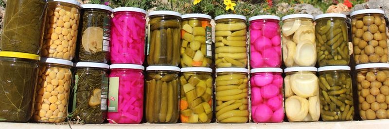 Green Village Lebanon - supplier and manufacturer from Lebanon