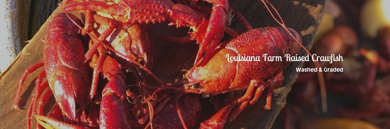 Teche Valley Seafood, Inc. - supplier and manufacturer from 미국
