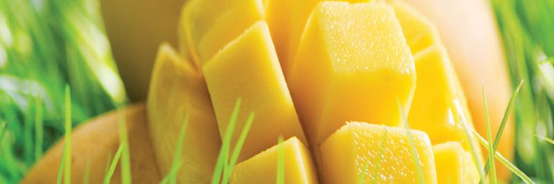 Roshan Fruits India Private Limited - supplier and manufacturer from 인도