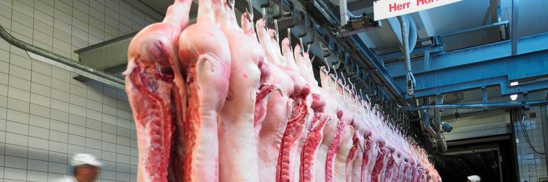 Vonach Meat - supplier and manufacturer from 오스트리아