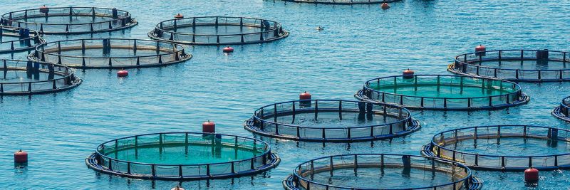 Santa Monica Seafood Co. - supplier and manufacturer from United States