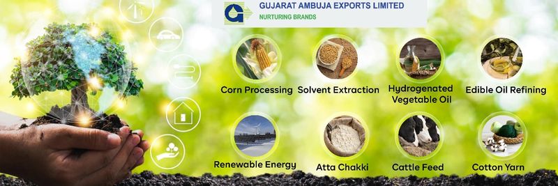 GUJARAT AMBUJA EXPORTS LTD - supplier and manufacturer from 인도