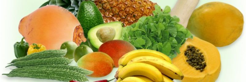Serendib Global Trading (Pvt) Ltd - supplier and manufacturer from Sri Lanka