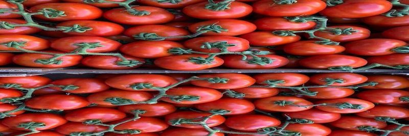 Reut Fruits and Vegetables - supplier and manufacturer from Israel