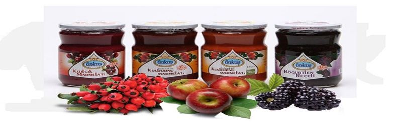 Un Kus Gida Imalat Sanayi Ticaret Limited Sirketi - supplier and manufacturer from 튀르키예