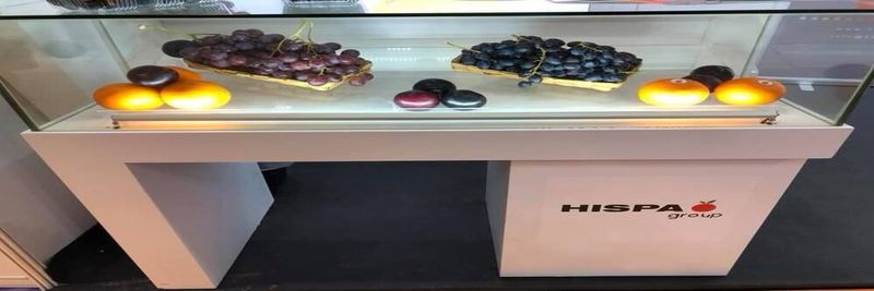 Hispa Group Spain SL - supplier and manufacturer from 스페인
