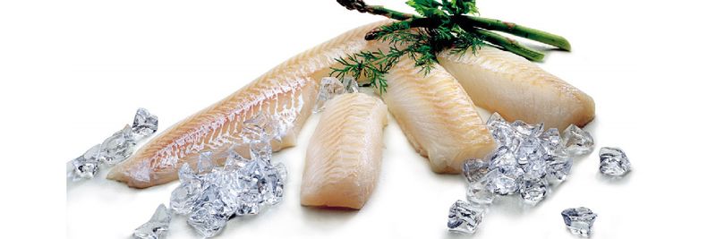 Faroe Seafood - supplier and manufacturer from 미국