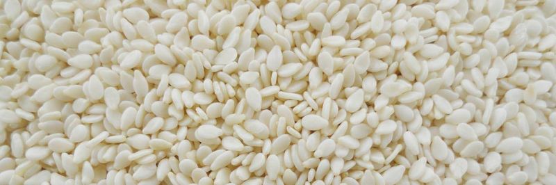 Dss Agro Exports - supplier and manufacturer from 인도