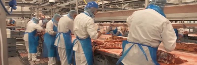 Hogeslag Olst - supplier and manufacturer from 네덜란드