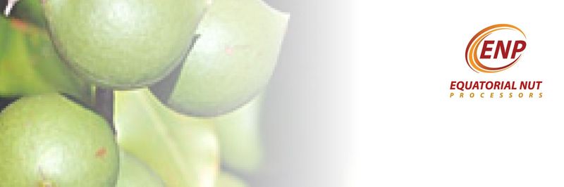 Equatorial Nut Processors Ltd - supplier and manufacturer from Kenya