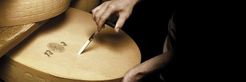 Margot Fromages S.A - supplier and manufacturer from Switzerland