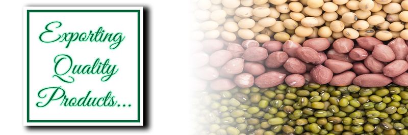 Agrico Marketing - supplier and manufacturer from 모잠비크
