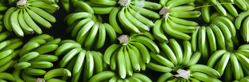 Floris Ltd. - supplier and manufacturer from Rwanda