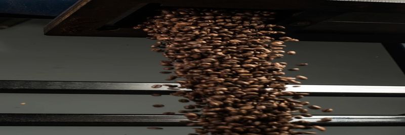 Caffè Monte - supplier and manufacturer from 캐나다