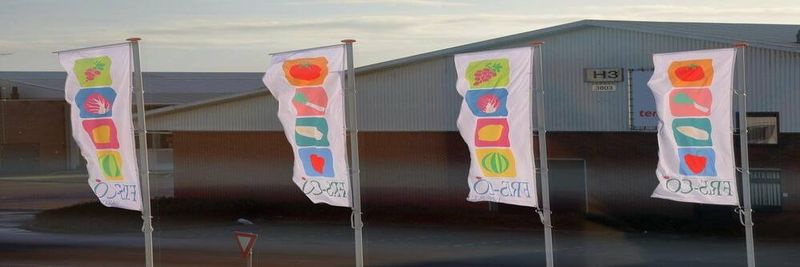 Fris-Co Fruit & Vegetables BV - supplier and manufacturer from 네덜란드