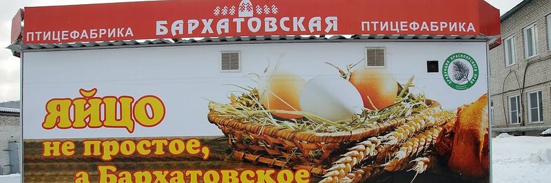 OJSC Poultry farm Barkhatovskaya - supplier and manufacturer from Russia