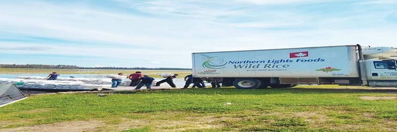 Northern Lights Foods - supplier and manufacturer from 캐나다