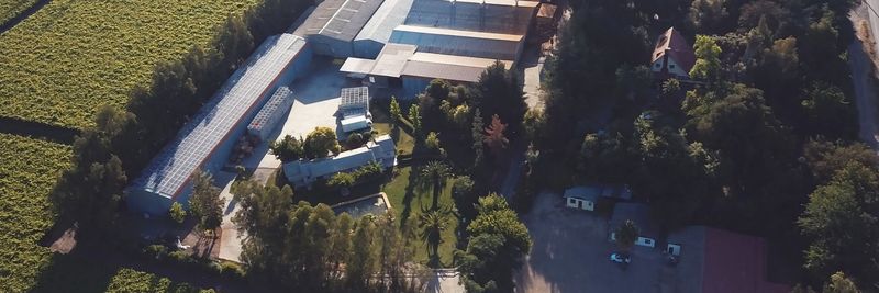 Exportadora Melifen Ltda - supplier and manufacturer from 칠레
