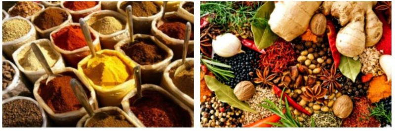 Spicy India - supplier and manufacturer from 남아프리카공화국