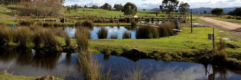 Yarra Valley Caviar - supplier and manufacturer from 호주
