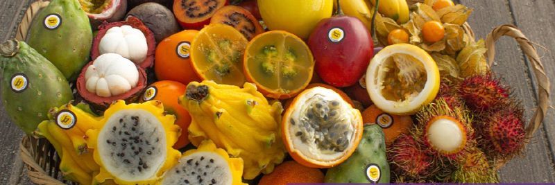 Heaven´s Fruits - supplier and manufacturer from Colombia