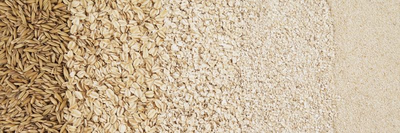 SL Alimentos S.A. - supplier and manufacturer from Brazil